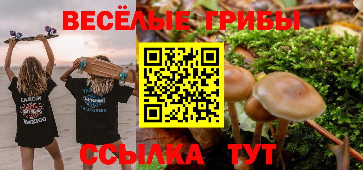 Галлюциногенные грибы ЛСД  Вход с VPN  Королёв 