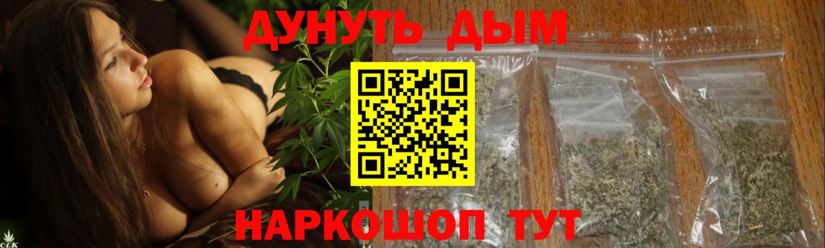 Королёв  Каннабис OG Kush  Конопля план  Вход с VPN  МАРИХУАНА индика 